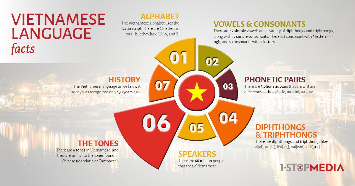 Vietnamese Language Infographics